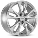 Ronal R61